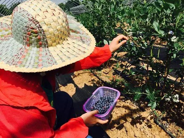 娱乐生活 第30页